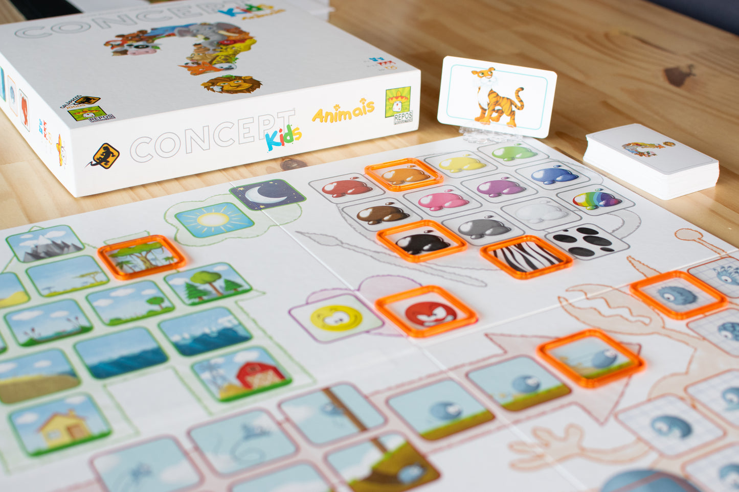 CONCEPT KIDS